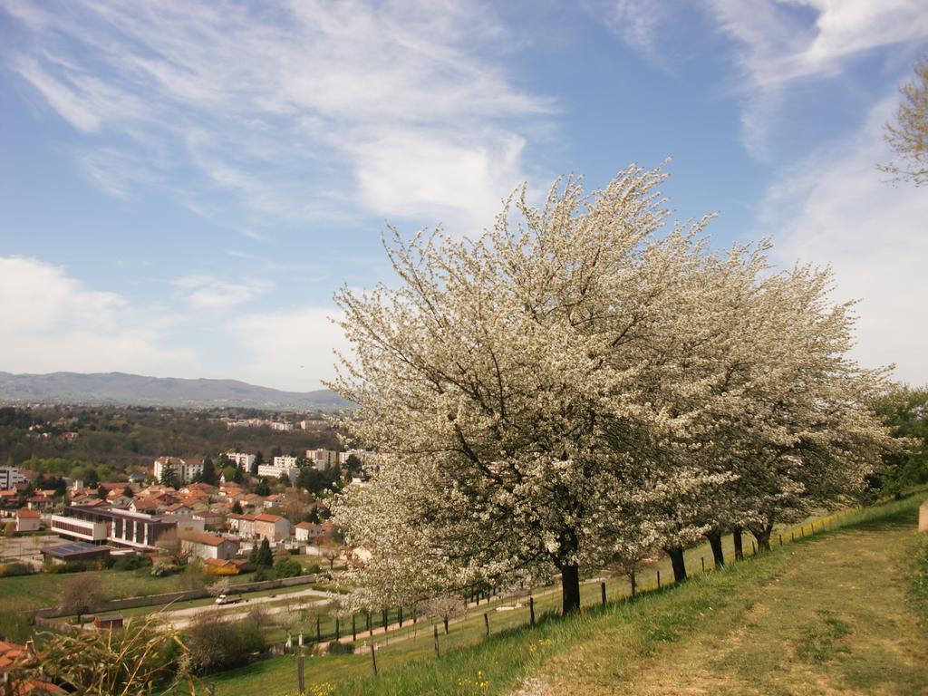 Domaine Lyon Saint Joseph Hotel Sainte-Foy-les-Lyon Ngoại thất bức ảnh